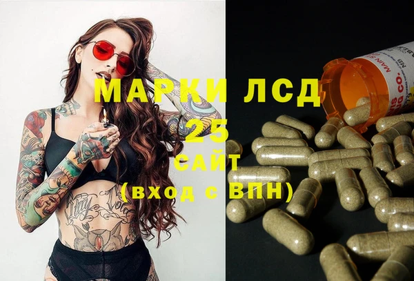 дурь Аркадак
