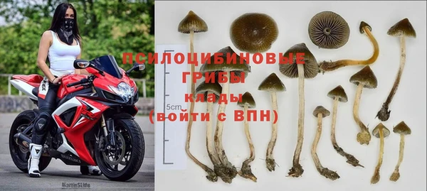 дурь Аркадак