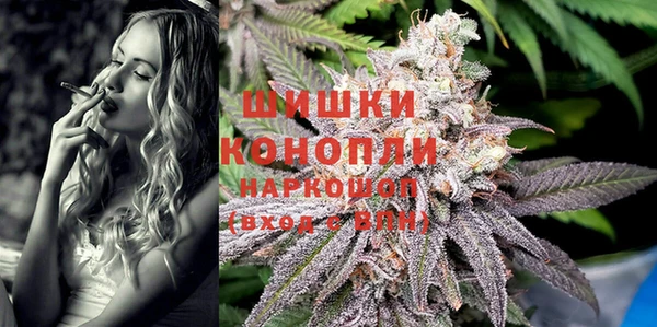 spice Арсеньев