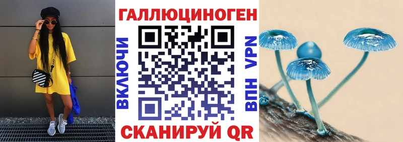 Галлюциногенные грибы мицелий цена наркотик Олёкминск